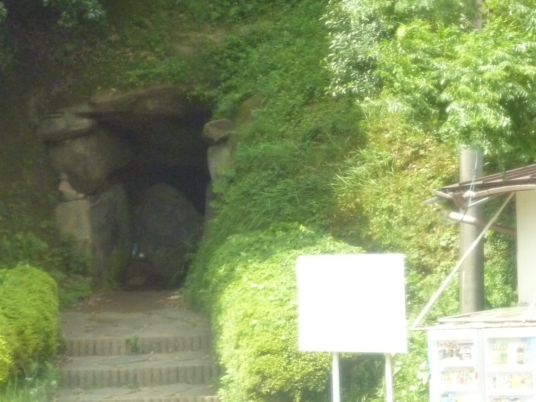 P1050116.JPG