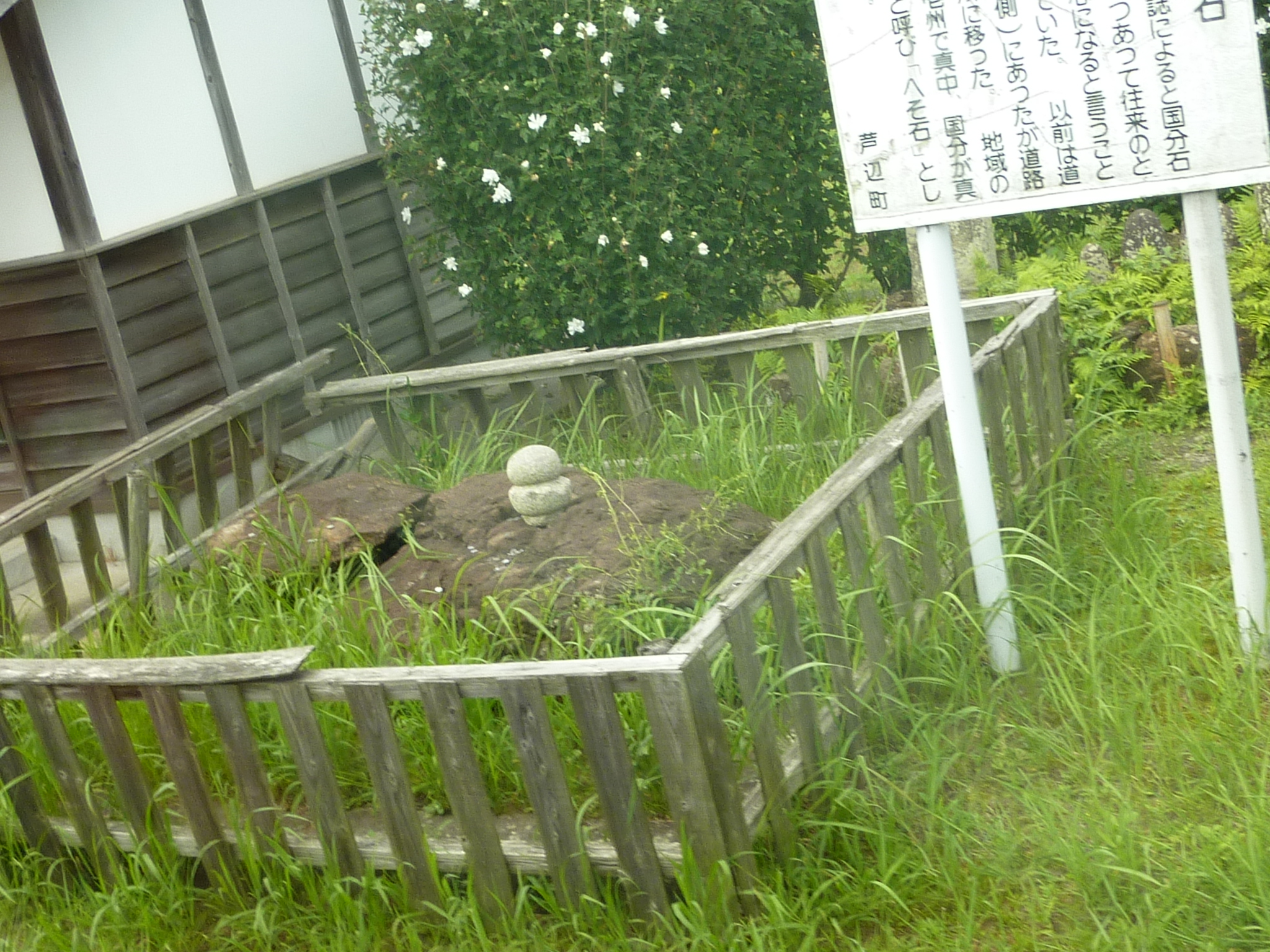 P1050124.JPG