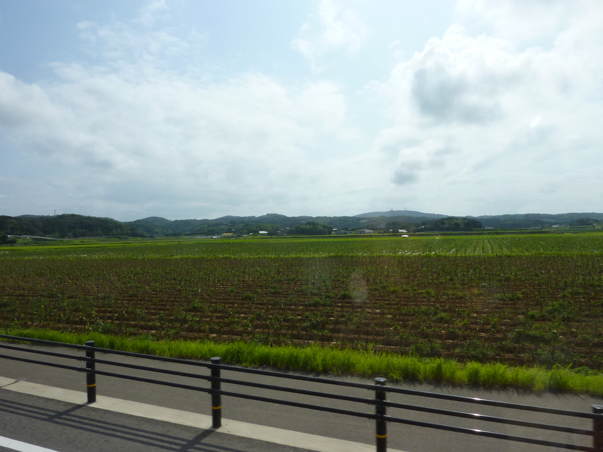 P1050136.JPG
