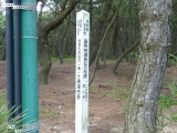 img0007.jpg