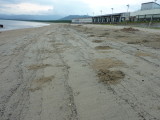 img0015.jpg