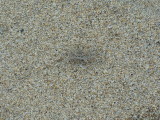 img0016.jpg