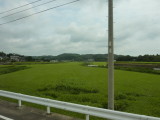 img0055.jpg