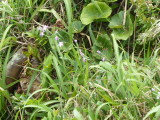 img0081.jpg