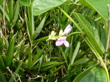 img0084.jpg