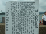 img0095.jpg