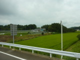 img0096.jpg