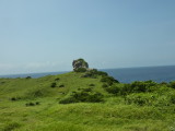 img0147.jpg