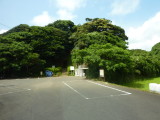 img0156.jpg