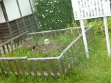 img0161.jpg