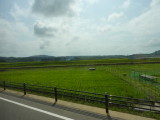 img0169.jpg