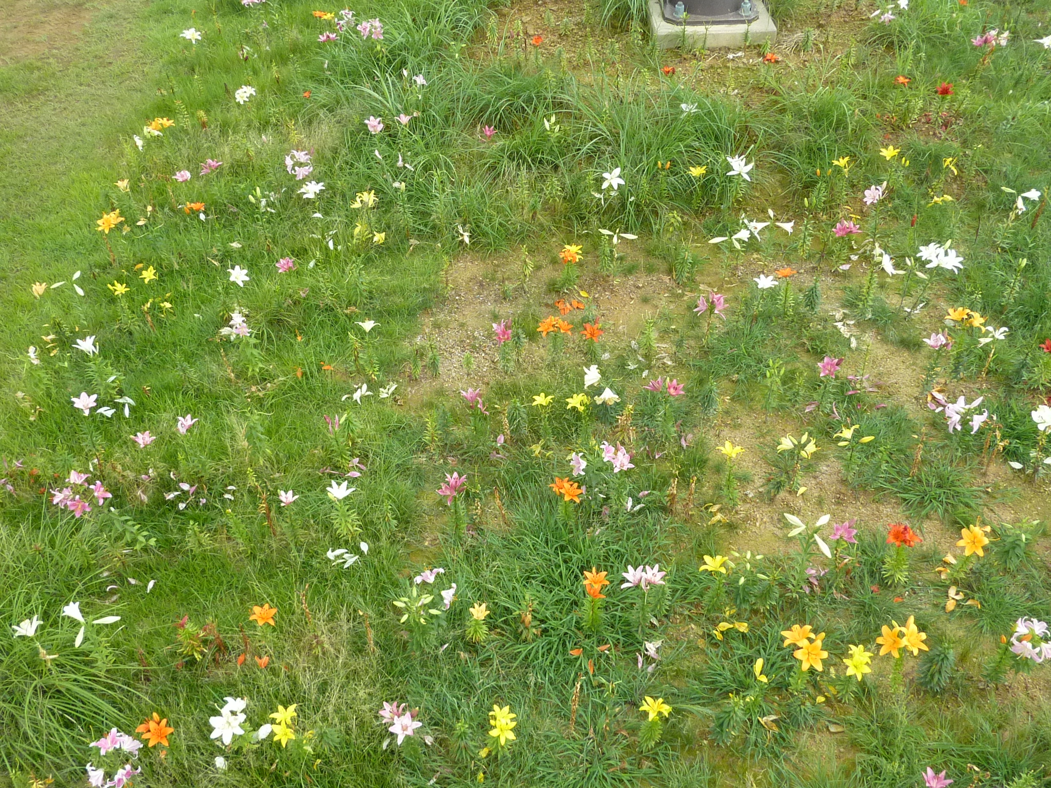 P1050212.JPG