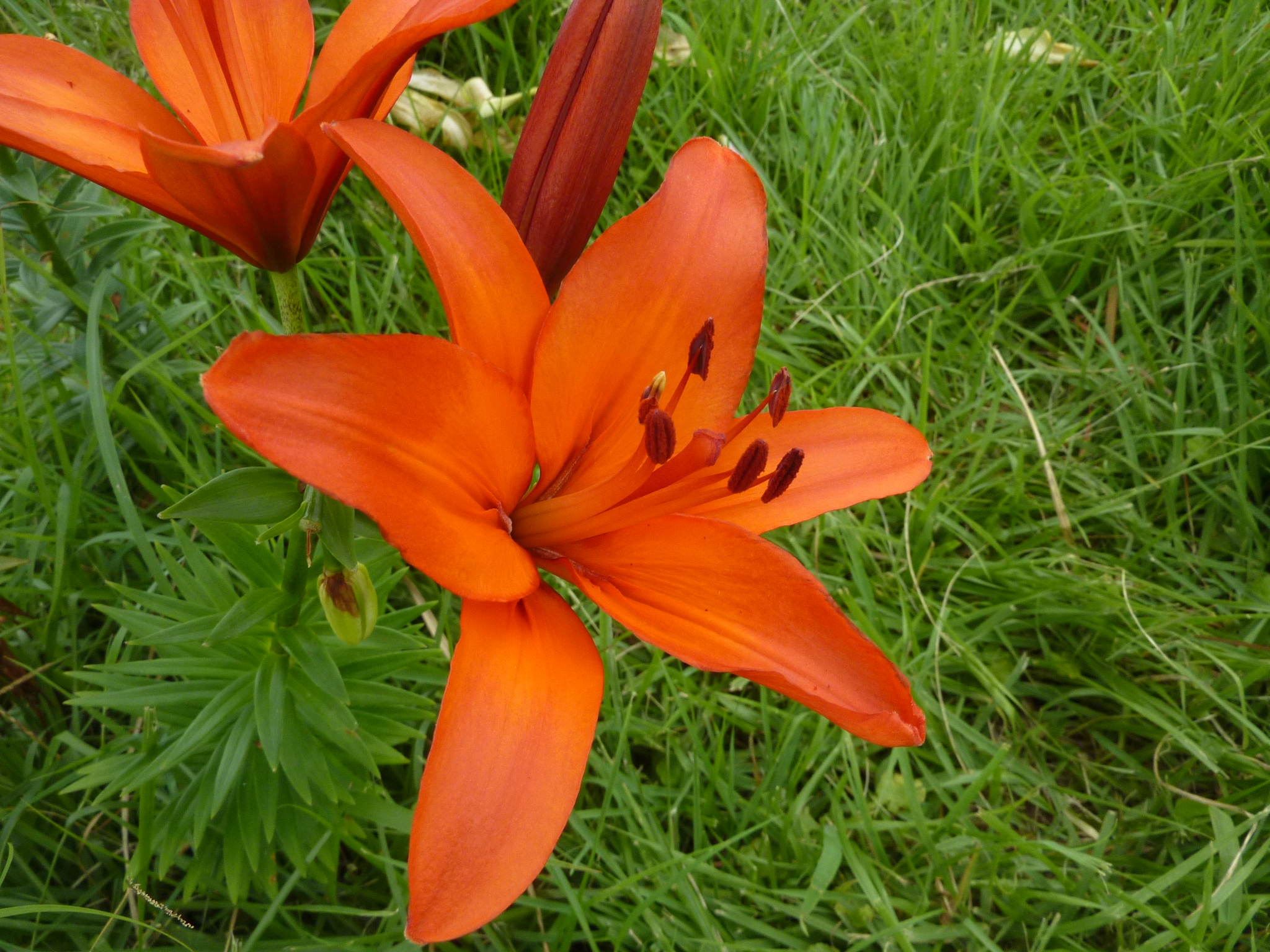 P1050219.JPG