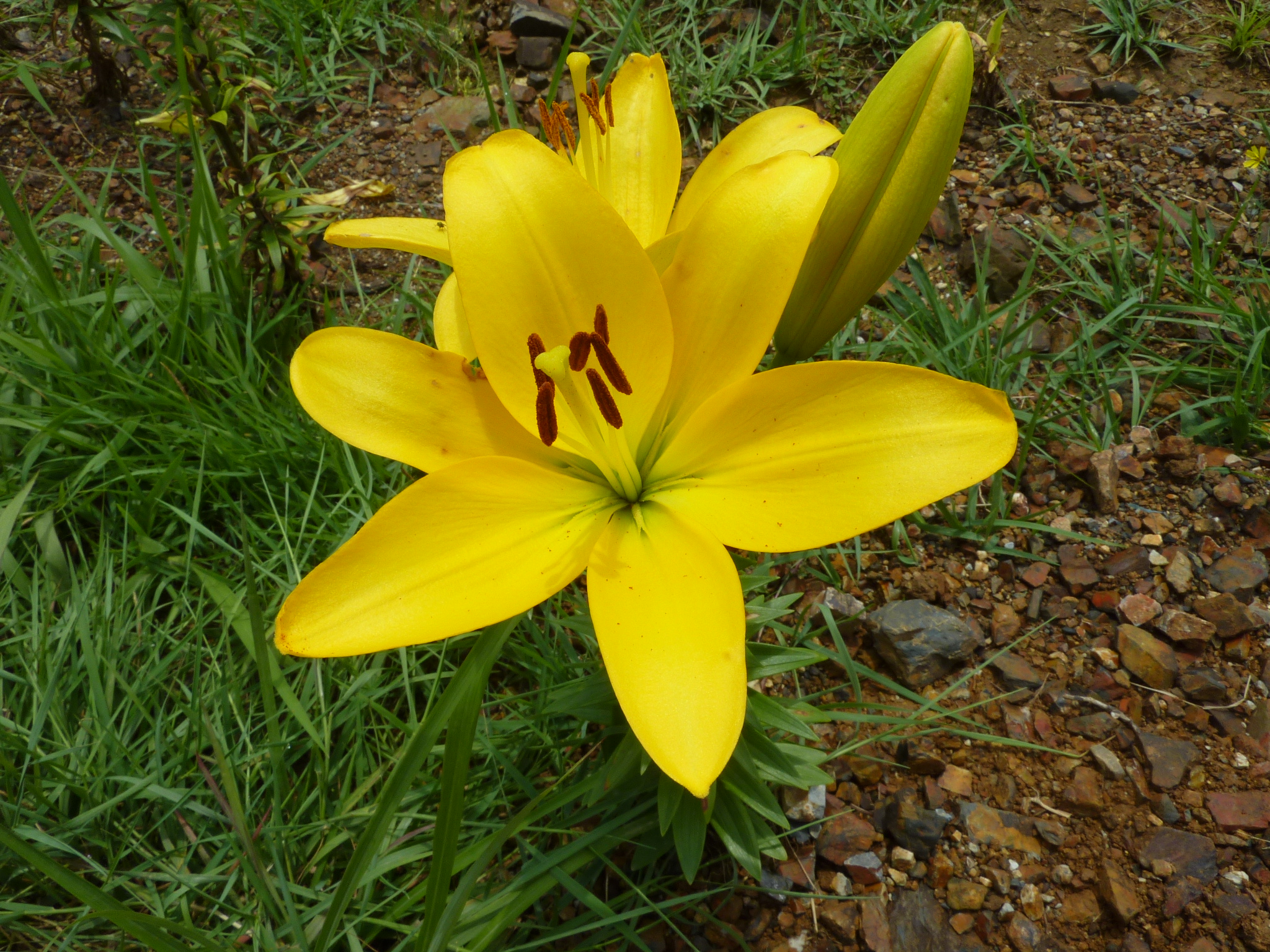 P1050222.JPG