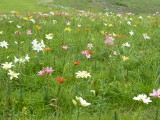 img0013.jpg
