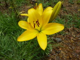 img0014.jpg