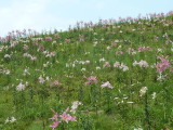 img0022.jpg