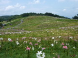 img0026.jpg