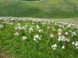 img0027.jpg