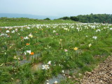 img0028.jpg