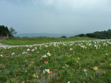 img0029.jpg