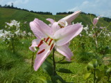 img0031.jpg