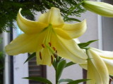 img0005.jpg