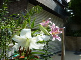 img0025.jpg