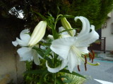 img0032.jpg