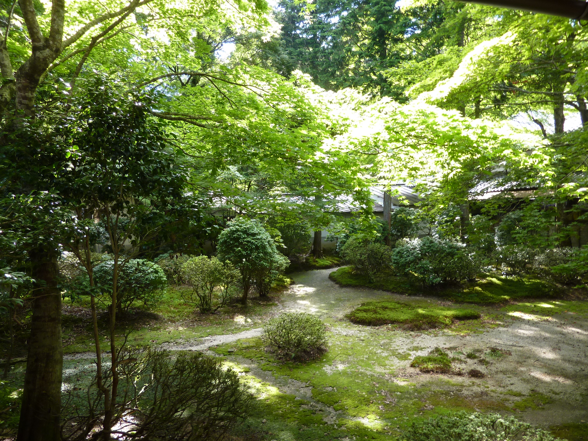 P1050327.JPG