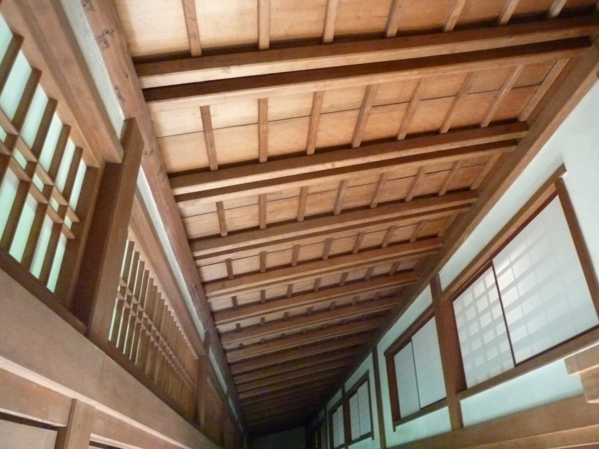P1050328.JPG
