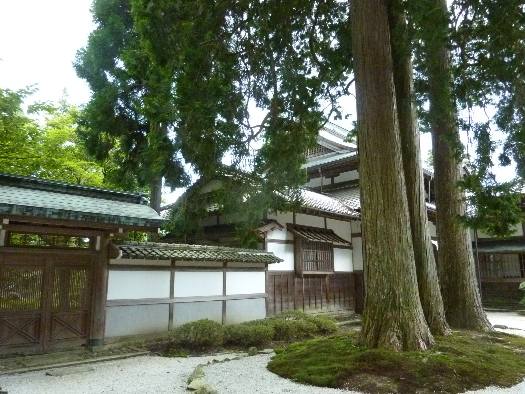 P1050342.JPG