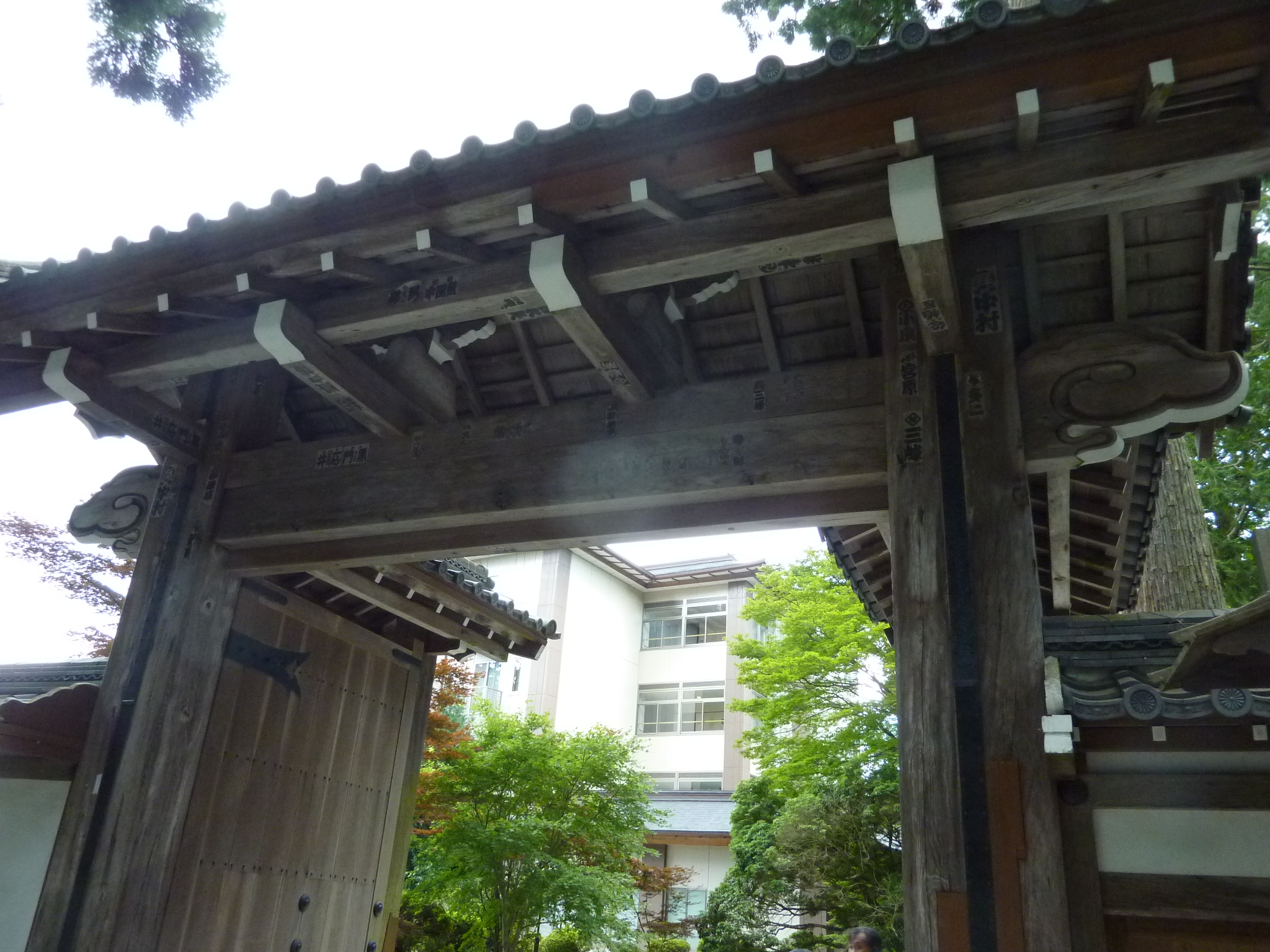 P1050343.JPG