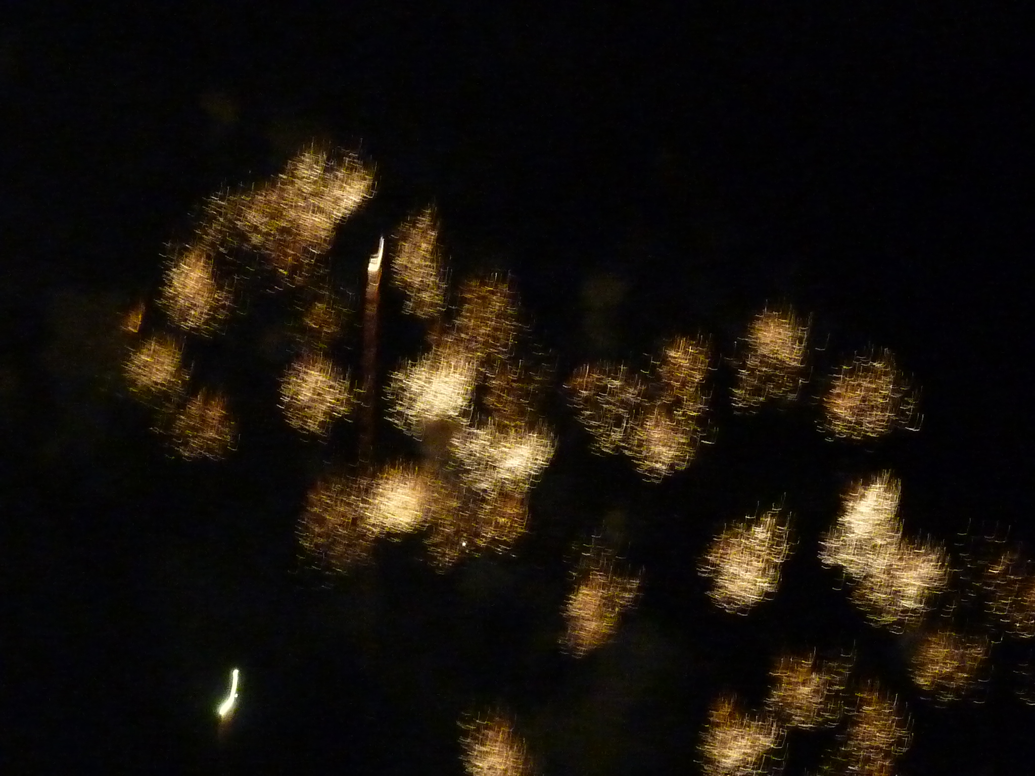 P1050448.JPG