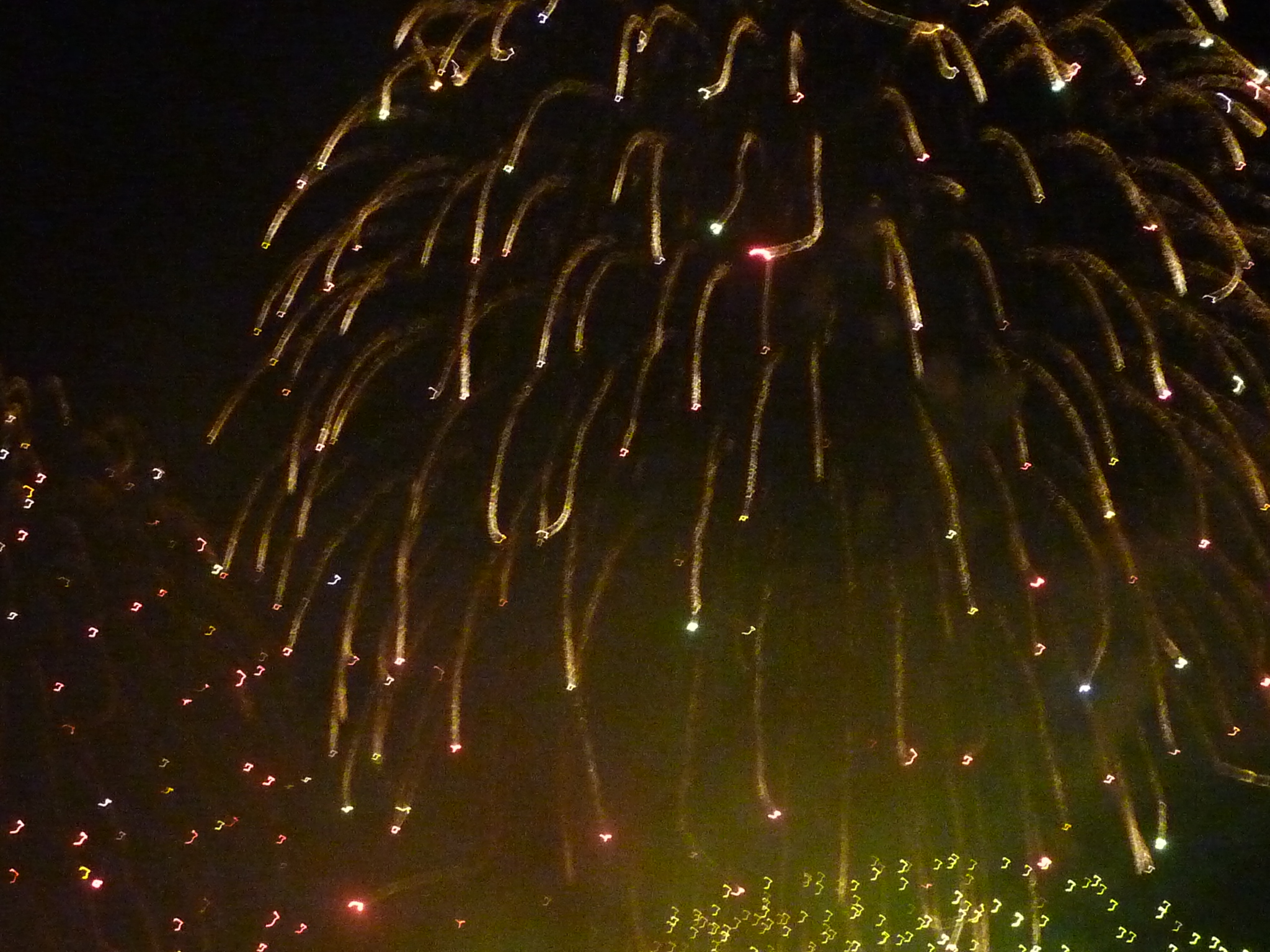 P1050687.JPG