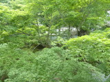 img0048.jpg