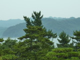 img0004.jpg