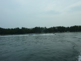 img0032.jpg