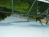 img0042.jpg