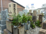 img0000.jpg