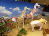 img0016.jpg