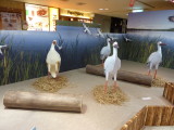 img0018.jpg