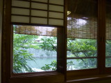 img0005.jpg