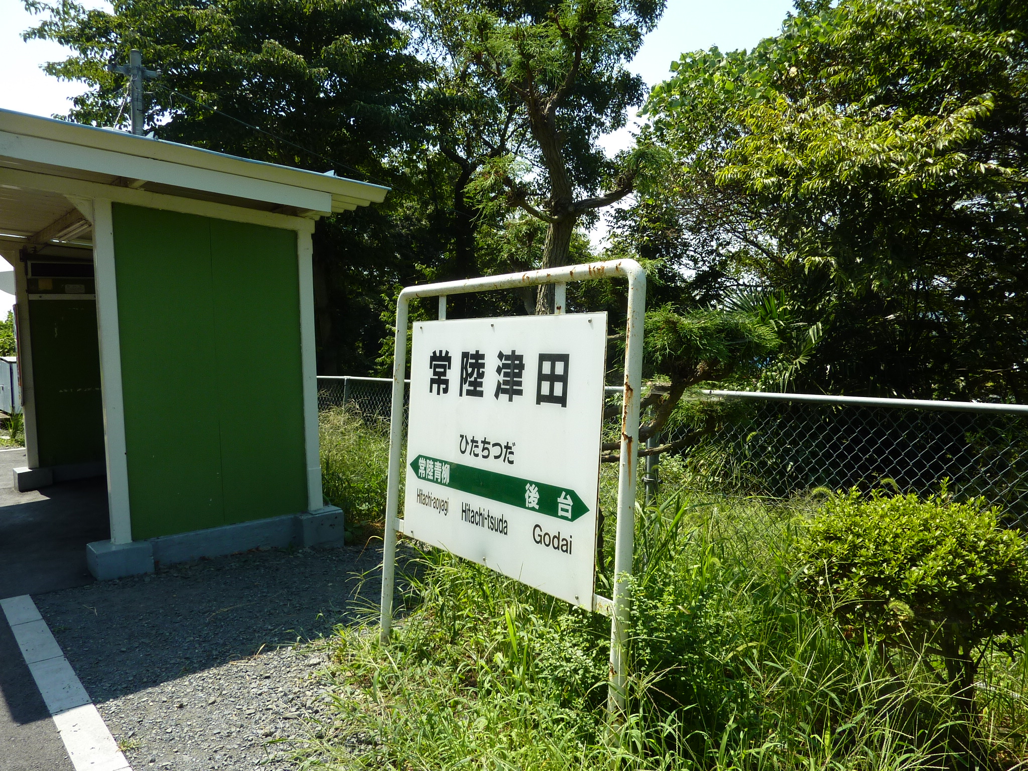 P1060133.JPG