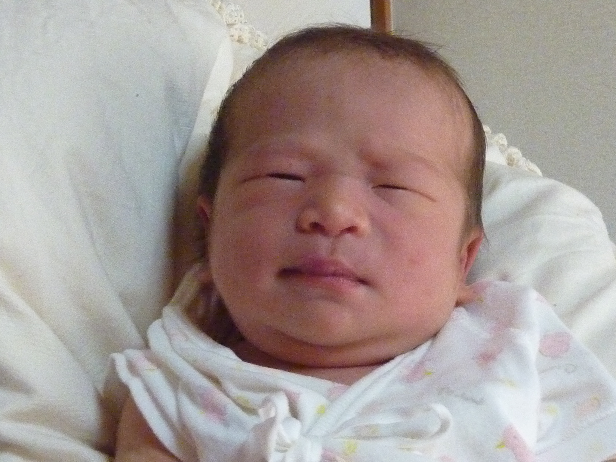 P1060167.JPG