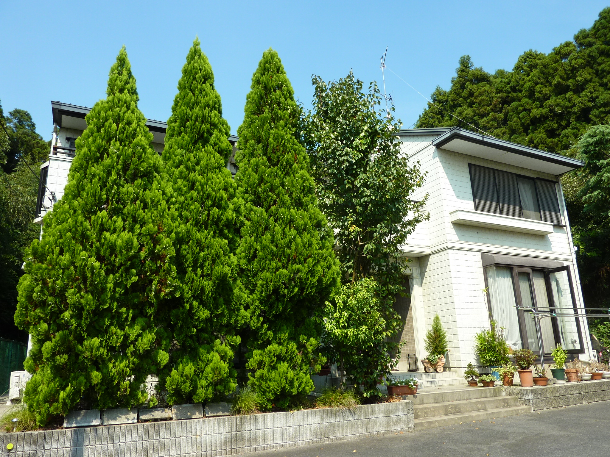 P1060177.JPG