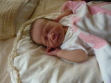 img0052.jpg