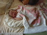 img0053.jpg