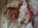 img0058.jpg