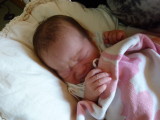 img0065.jpg